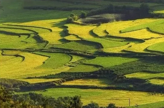 农村风景