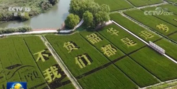 睿婕轻钢别墅